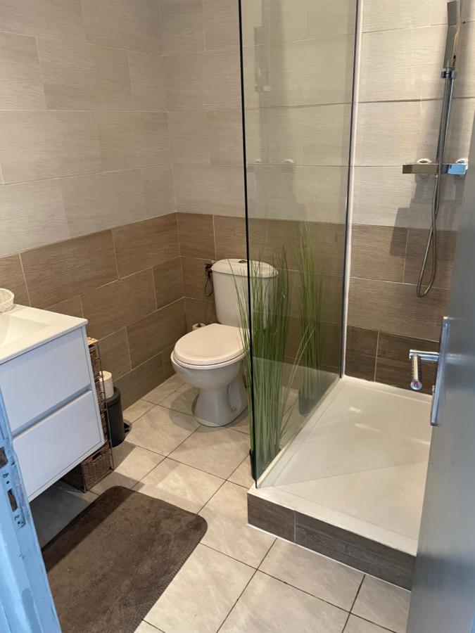 Centre Carcassonne Apartment With Private Sunny Terrace Εξωτερικό φωτογραφία